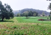 Sòl urbà en venda a la España, Barrio El Cerro, ref.: TR125278 foto