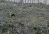 Land suitable for development for sale on España, Vallirana, ref: TR125854 photo