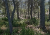 Land suitable for development for sale on España, Vallirana, ref: TR125854 photo
