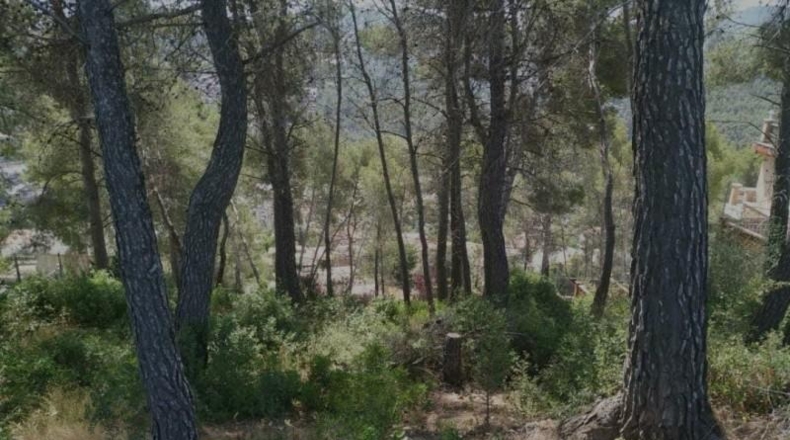 Barcelona - Vallirana - 750m2
