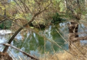 Non-developable land for sale on España, Benissanet, ref: TR125860 photo