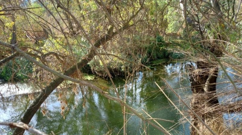 Tarragona - Benissanet - 9197m2