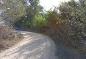 Non-developable land for sale on España, Benissanet, ref: TR125860 photo