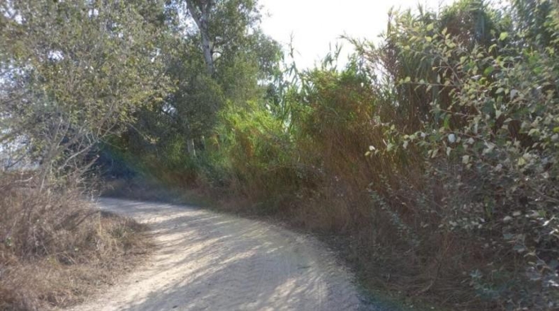 Tarragona - Benissanet - 9197m2