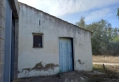 Non-developable land for sale on España, Benissanet, ref: TR125860 photo