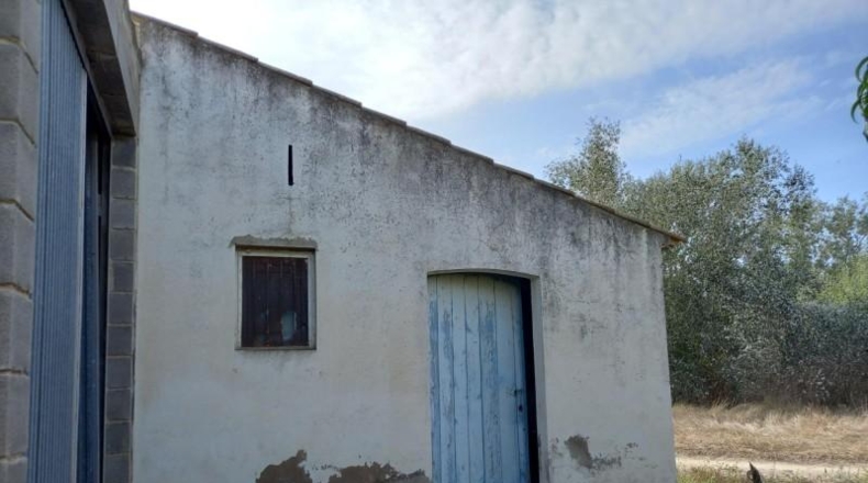 Tarragona - Benissanet - 9197m2