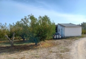 Non-developable land for sale on España, Benissanet, ref: TR125860 photo