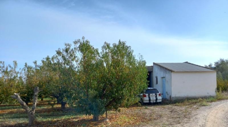 Tarragona - Benissanet - 9197m2