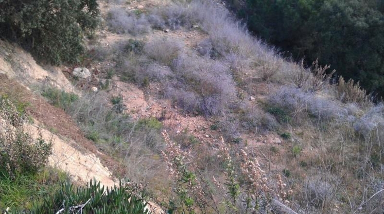 Gerona - Lloret de Mar - 1050m2