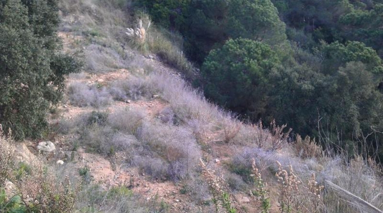 Gerona - Lloret de Mar - 1050m2