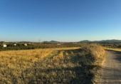 Terreny no urbanitzable en venda a la España, Mèrida, ref.: TR166670 foto
