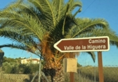 Terreny no urbanitzable en venda a la España, Mèrida, ref.: TR166670 foto