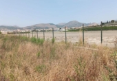 Non-developable land for sale on España, Motril, ref: TR166758 photo