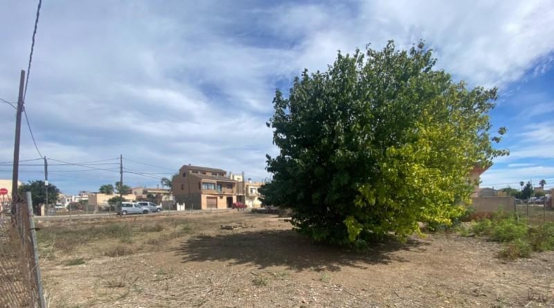 Tarragona - Deltebre - 691m2