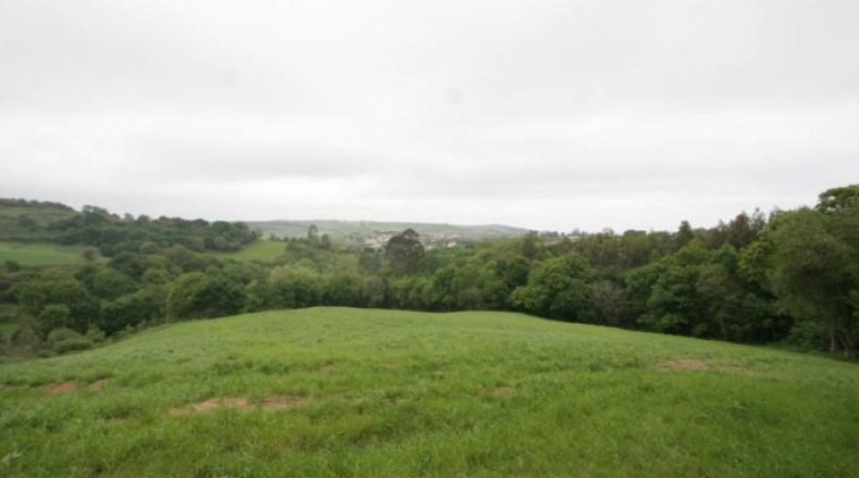 Cantabria - Cara - 12574m2
