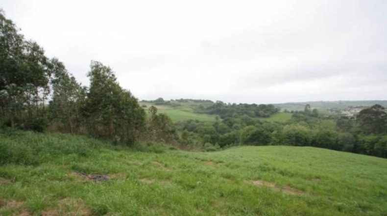 Cantabria - Cara - 12574m2