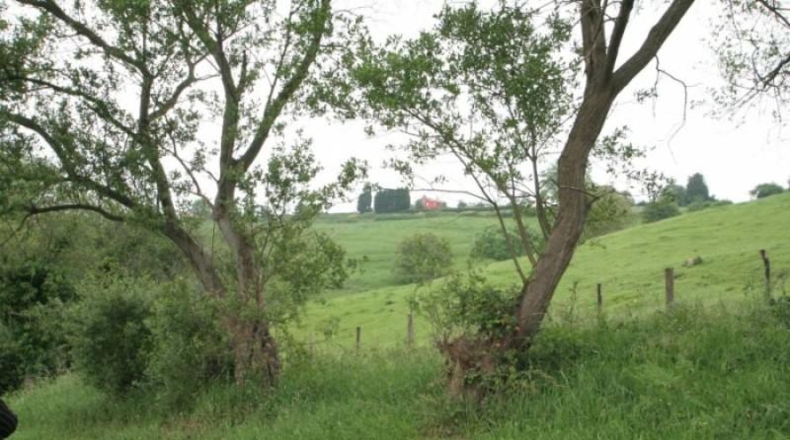 Cantabria - Cara - 12574m2