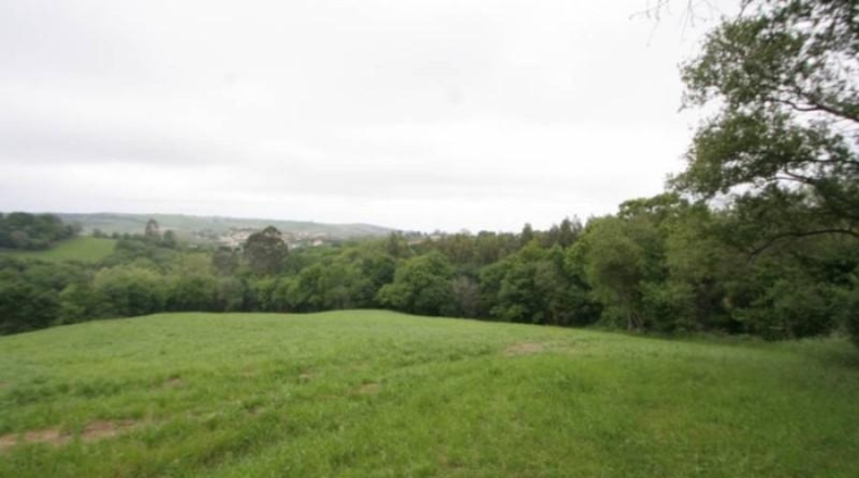 Cantabria - Cara - 12574m2