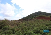 Terreno no urbanizable en venta en la España, Puntallana, ref: TR172355 foto
