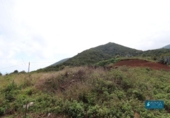 Terreno no urbanizable en venta en la España, Puntallana, ref: TR172355 foto