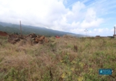 Terreno no urbanizable en venta en la España, Puntallana, ref: TR172355 foto