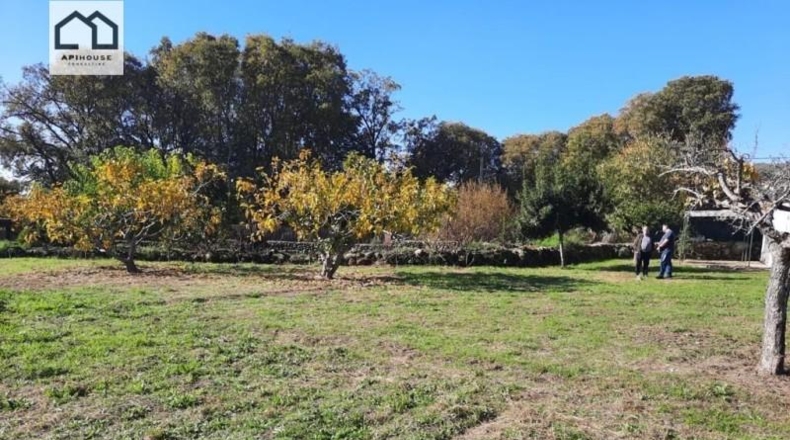 Ávila - Candeleda - 2800m2