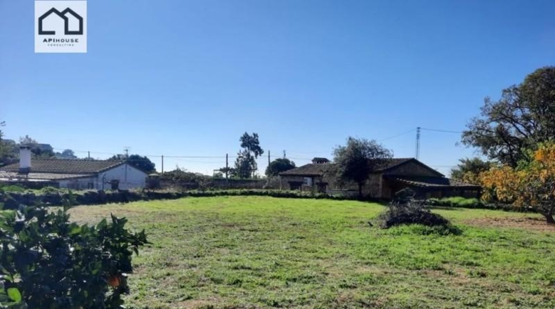 Ávila - Candeleda - 2800m2