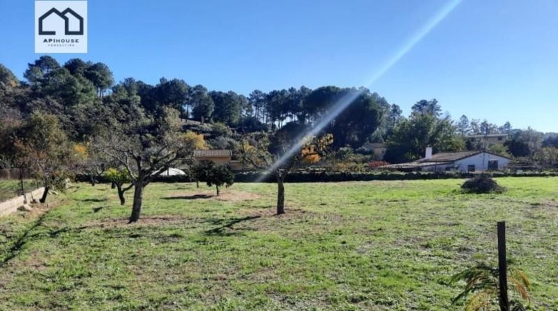 Ávila - Candeleda - 2800m2