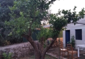Terreno no urbanizable en venta en la España, Candeleda, ref: TR126892 foto