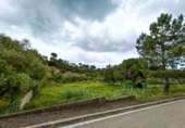 Non-developable land for sale on España, Lloret de Mar, ref: TR250654 photo