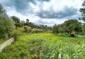 Non-developable land for sale on España, Lloret de Mar, ref: TR250654 photo
