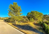 Non-developable land for sale on España, Lloret de Mar, ref: TR250654 photo