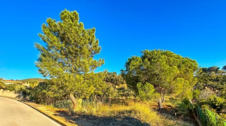 Gerona - Lloret de Mar - 930m2