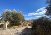 Casa de camp amb terreny en venda a la España, Olula del Río, ref.: TR294481 foto