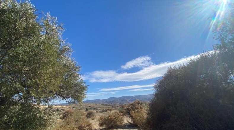 Almería - Олула-дель-Рио - 121313m2