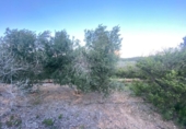 Xalet independent amb terreny en venda a la España, Masdenverge, ref.: TR302890 foto