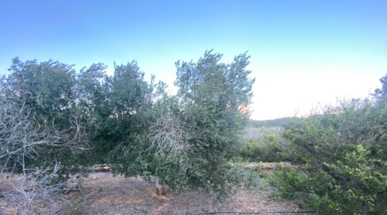 Tarragona - Masdenverge - 12202m2