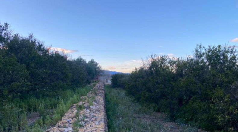 Tarragona - Masdenverge - 12202m2