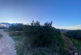 Foto 15