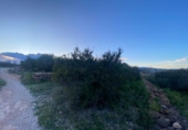 Xalet independent amb terreny en venda a la España, Masdenverge, ref.: TR302890 foto