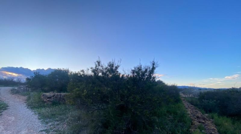 Tarragona - Masdenverge - 12202m2