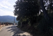 Parcel·la urbanitzable en venda a la España, Vacarisses, ref.: TR128744 foto