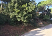 Parcel·la urbanitzable en venda a la España, Vacarisses, ref.: TR128744 foto