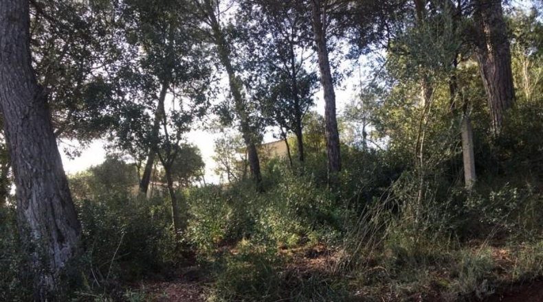 Barcelona - Vacarisses - 1211m2