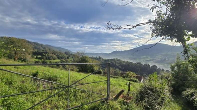 Asturias - Gijón - 1258m2