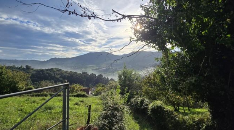 Asturias - Gijón - 1258m2