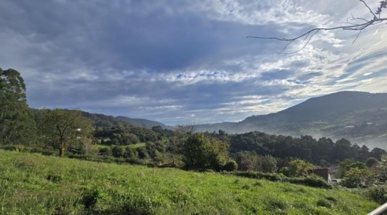 Asturias - Gijón - 1258m2