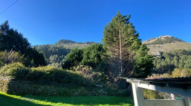 Cantabria - Castro-Urdiales - 1339m2