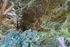 Foto 7