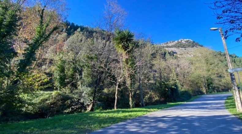 Cantabria - Castro-Urdiales - 1339m2